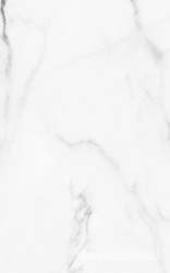 Арко бел верх 01  25x40