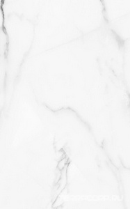 Керамическая плитка Gracia ceramica Арко  бел верх 01  25x40 Белый 