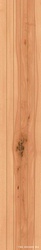 Log Cansei Murano Riga ZZ 18.5x150