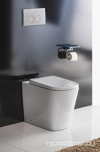 Унитаз напольный, пристенный, монтаж со скрытым в стене бачком, безободковый, без сидения,  ZZ BelBagno Albano BB120CBR