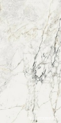 AE PAO6 12 LP |60x120