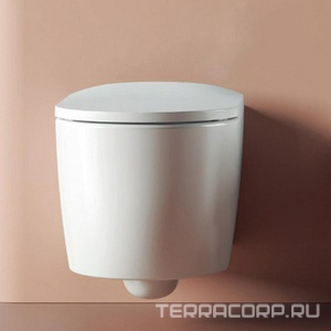 Сиденье для унитаза, с микролифтом, (цв. белый, петли цв. хром),  ArtСeram Monet MNA001 01; 71