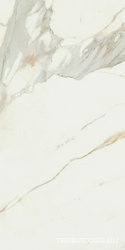 Calacata Gold  leviglass 60x120 Rec.