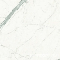 Statuario Altissimo Lucidato (Shiny) 6 mm ZZ |75x75