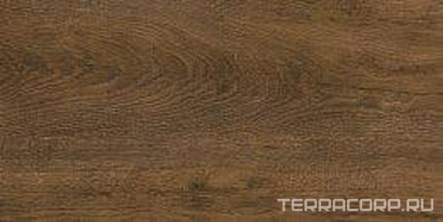 Керамогранит GT-253 венге ZZ l30x60