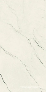 Керамогранит AtlasConcorde Россия FORTE DEI MARMI F.d.M. Lilac Rett 60x120 Cer/Ф.Д.М. Лилак Рет 60Х120 Чер Белый 