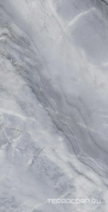 Керамогранит Fusure Ceramic Ariostocratic Style Light Luxury FSS12062 Pol KL 60x120 Серый 