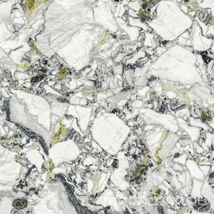 Керамогранит AtlasConcorde Россия FORTE DEI MARMI QUARK F.d.M.Quark Ceppo Ap. Forest Rett 80x80/Ф.Д.М.Кварк Чеппо Ап. Форест Рет 80Х80 Комбинированный 