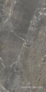 Керамогранит La Faenza Aesthetica AE COL6 12 LPM ( п.п.) 60x120 Серый 