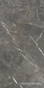 Керамогранит La Faenza Aesthetica AE COL6 12 LPM ( п.п.) 60x120 Серый 