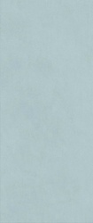 Boost Expression Cyan ZZ 50x120