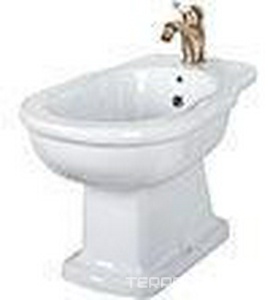 Биде напольное, 570х380 мм, с 1 отв.д/смесит., (без крепл.к полу )  ZZ TW Collection Bristol TWBR06-1