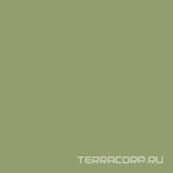 Моноколор зеленый ZZ|40x40