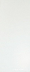Solid White Matt 50x120 ZZ