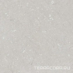 Shellstone Bianco 120x120