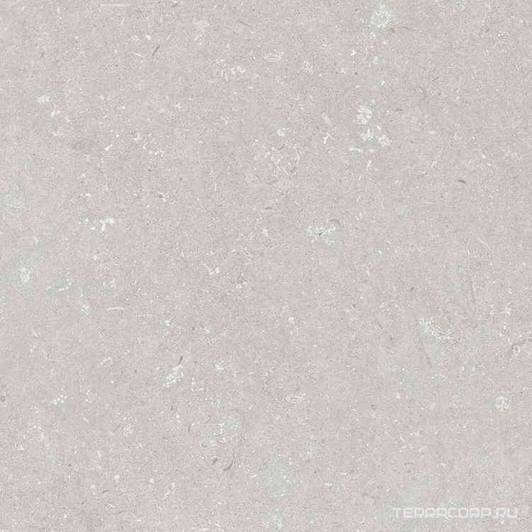 Shellstone Bianco 120x120