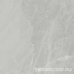 Керамогранит Ariostea Marmi Classici Gris De Savoie Luc ZZ60x60 Серый 
