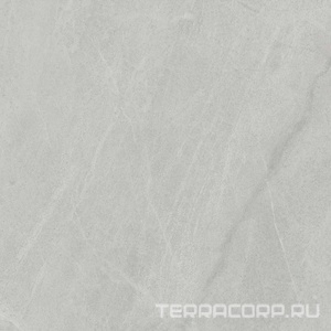 Керамогранит Ariostea Marmi Classici Gris De Savoie Luc ZZ60x60 Серый 