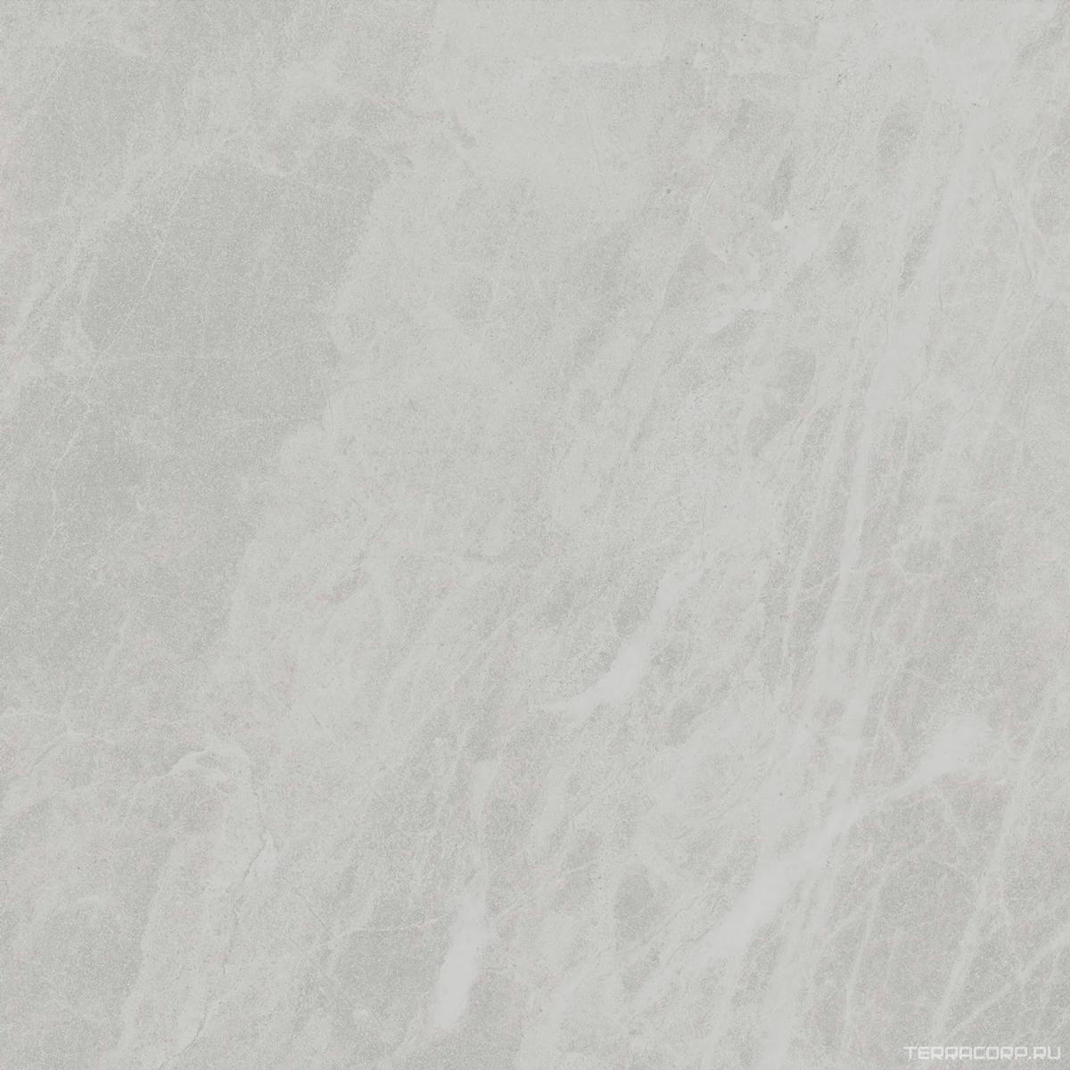 Керамогранит Ariostea Marmi Classici Gris De Savoie Luc ZZ60x60 Серый, фото 5