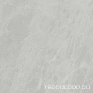 Керамогранит Ariostea Marmi Classici Gris De Savoie Luc ZZ60x60 Серый 
