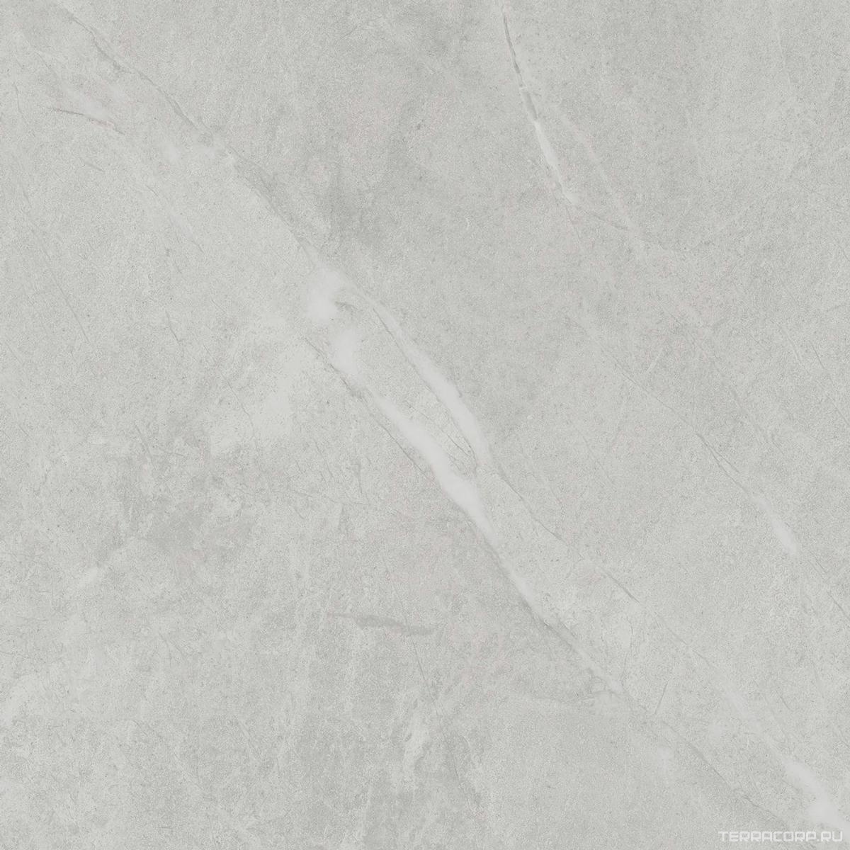 Керамогранит Ariostea Marmi Classici Gris De Savoie Luc ZZ60x60 Серый, фото 4