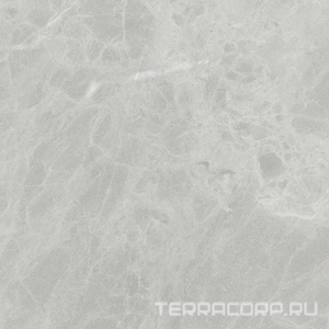 Керамогранит Ariostea Marmi Classici Gris De Savoie Luc ZZ60x60 Серый 