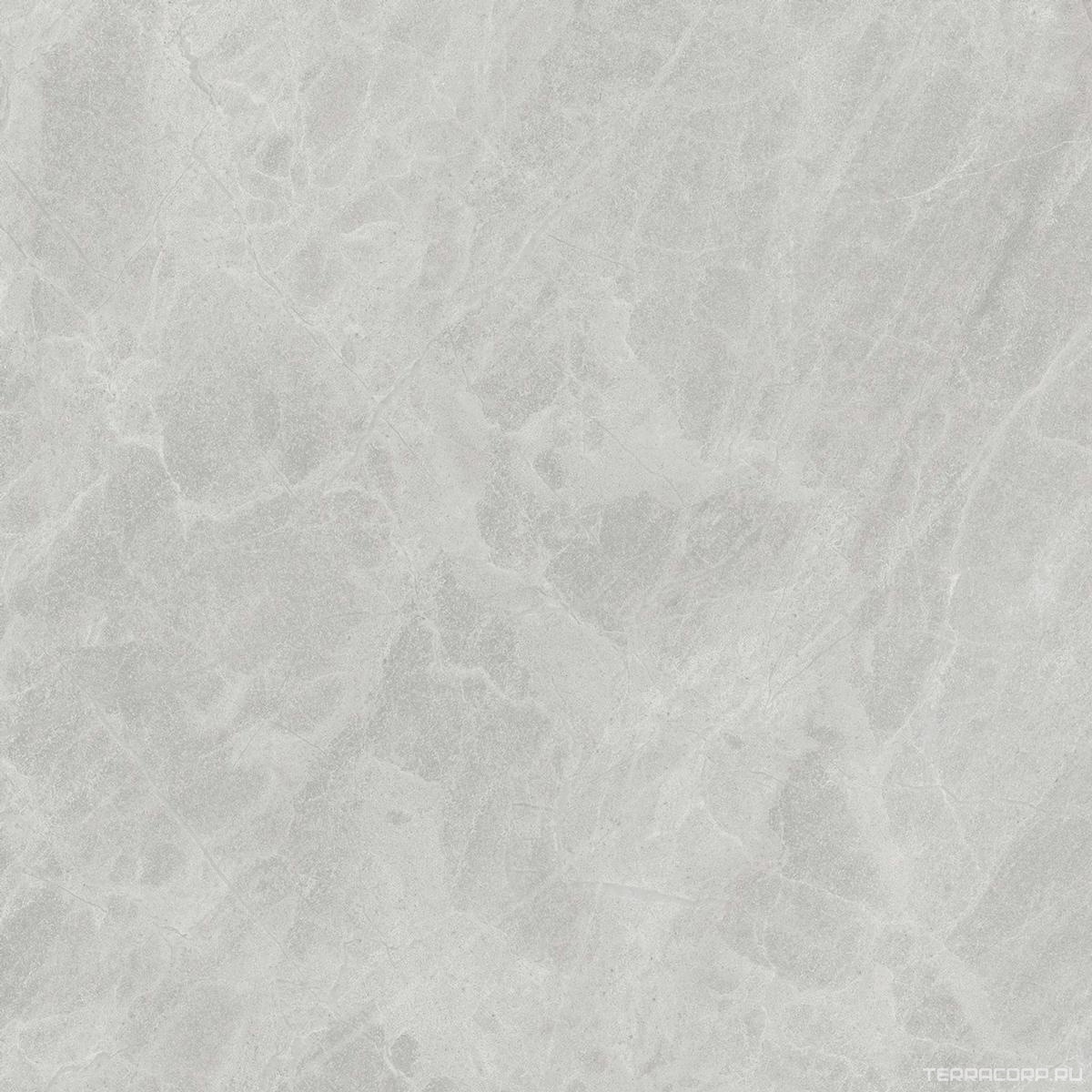 Керамогранит Ariostea Marmi Classici Gris De Savoie Luc ZZ60x60 Серый, фото 7
