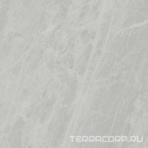 Керамогранит Ariostea Marmi Classici Gris De Savoie Luc ZZ60x60 Серый 