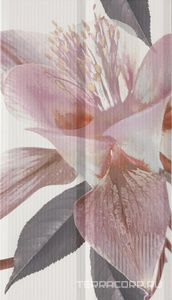 Керамическая плитка Fanal Duo Decor  Blanco Flor 1 32.5x60 Комбинированный 