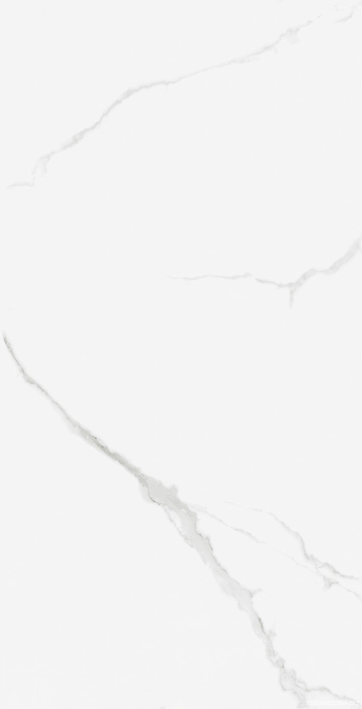 Керамогранит WIFI Ceramics Marble Carara Glos.60x120 Белый, фото 5