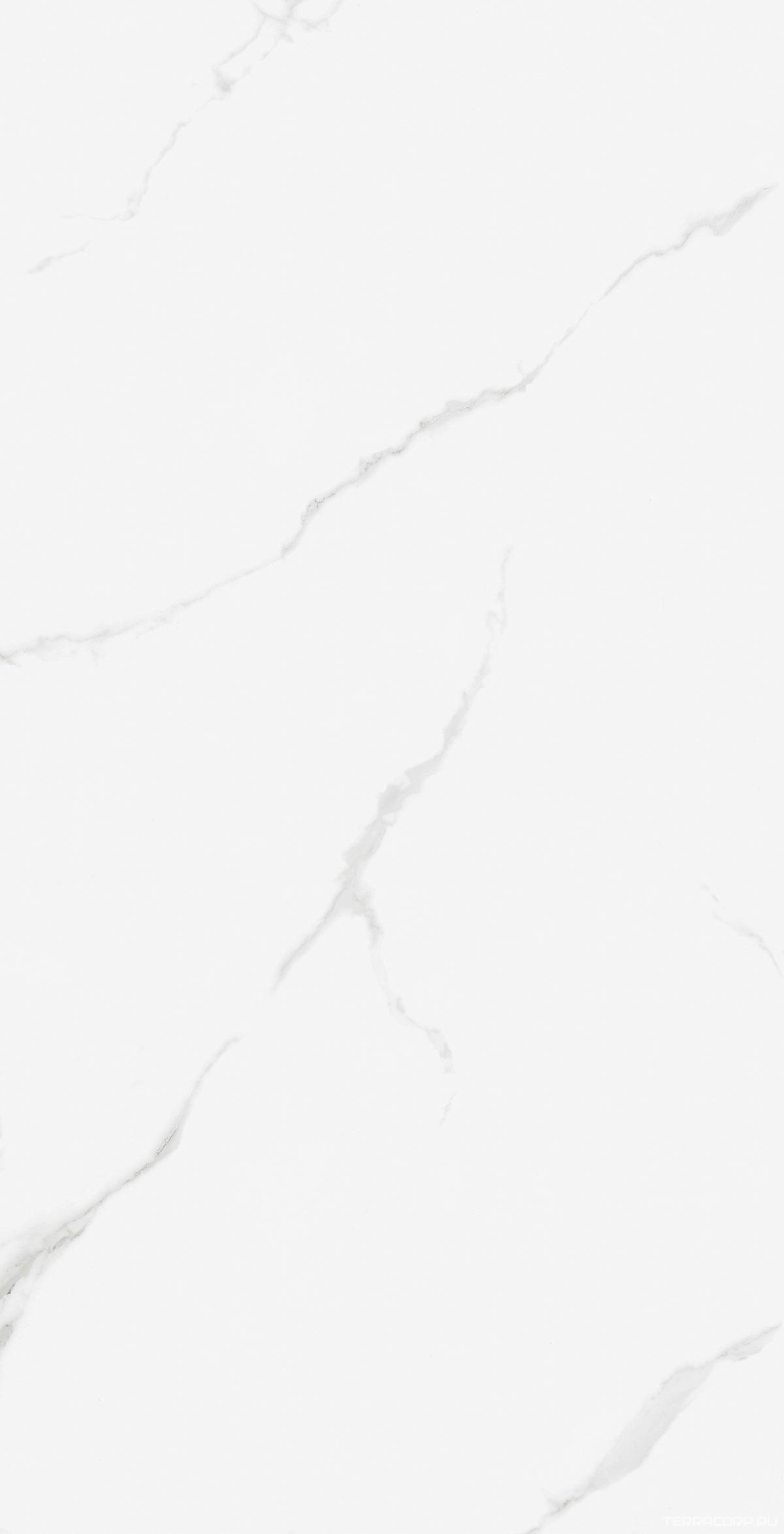 Керамогранит WIFI Ceramics Marble Carara Glos.60x120 Белый, фото 4
