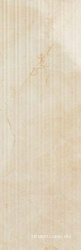 Evolution Marble Golden Cream Struttura XX 32.5x97.7