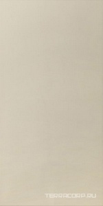 Керамическая плитка Devon & Devon Elisees Boiserie Elisees Lastra EB10 White ZZ40x80 Комбинированный 