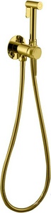 Смеситель совмещ. с гигиенич. душем, (готовый к-т: лейка, шланг, скрытая часть), пластиковая вставка в держат.д/лейки,(цв.золото браш.),  3.0 Allen Brau Priority 5.31A29-GB