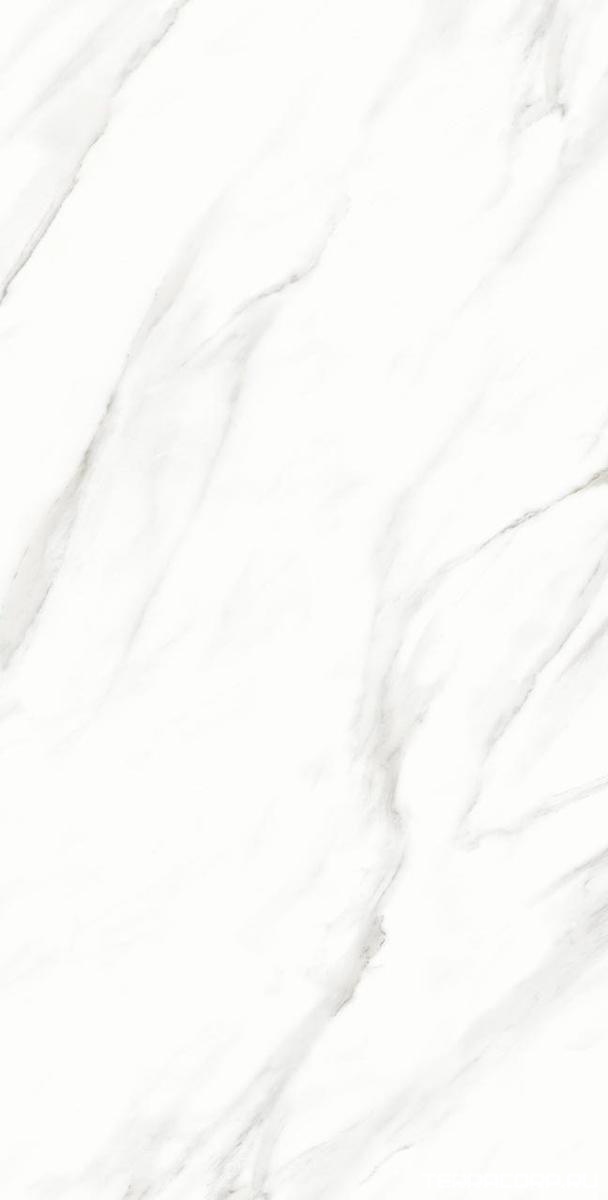 Керамогранит Alpas Euro Premium Marble Calacatta Vero Satin 60x120 Белый, фото 4