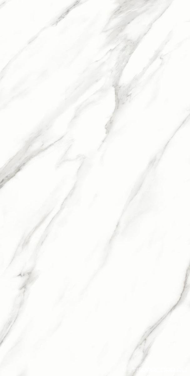 Керамогранит Alpas Euro Premium Marble Calacatta Vero Satin 60x120 Белый, фото 5