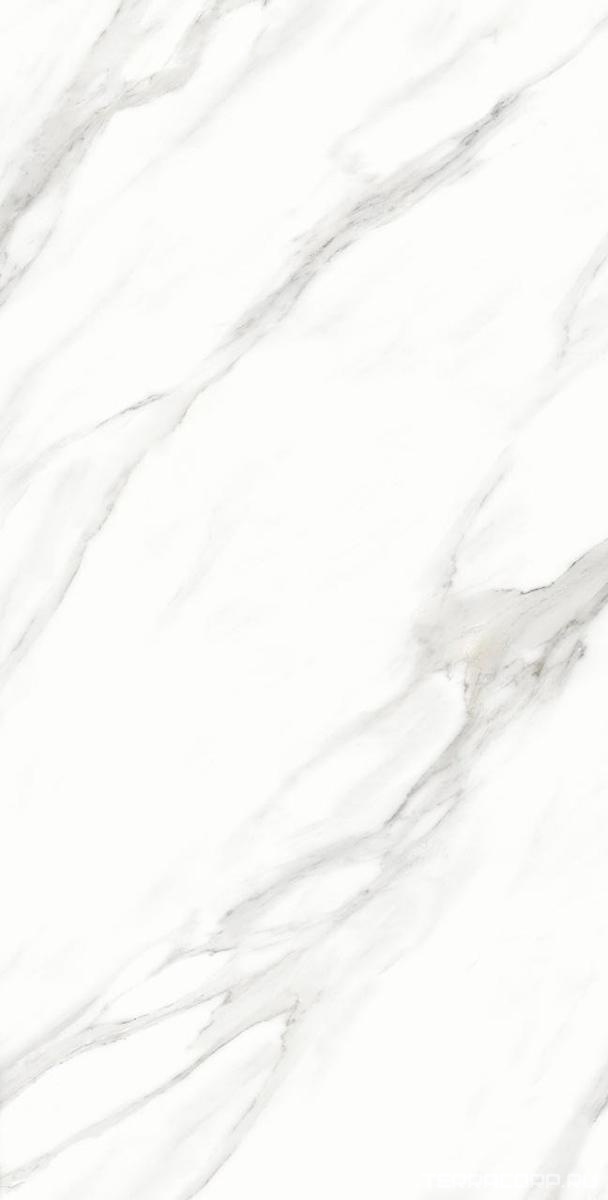 Керамогранит Alpas Euro Premium Marble Calacatta Vero Satin 60x120 Белый, фото 3