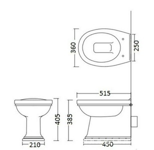 Унитаз напольный пристенный 36,5х51,5хh40,5см, без сиденья, для встр. в стену бачка, крепл. к полу в компл.,  ZZ Devon & Devon Rose IBWCROSEBTW