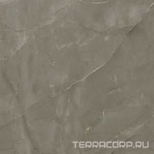 Керамогранит Axima  BALTIMORE коричневая600х600х8 Коричневый 60x60