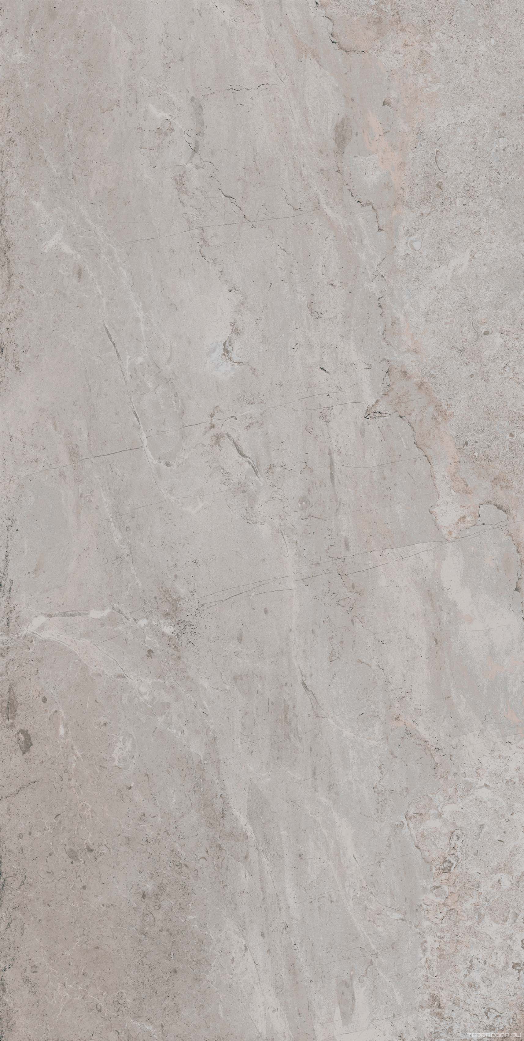 Керамогранит Pamesa Erding Ash Decorstone rett60x120 Серый, фото 4