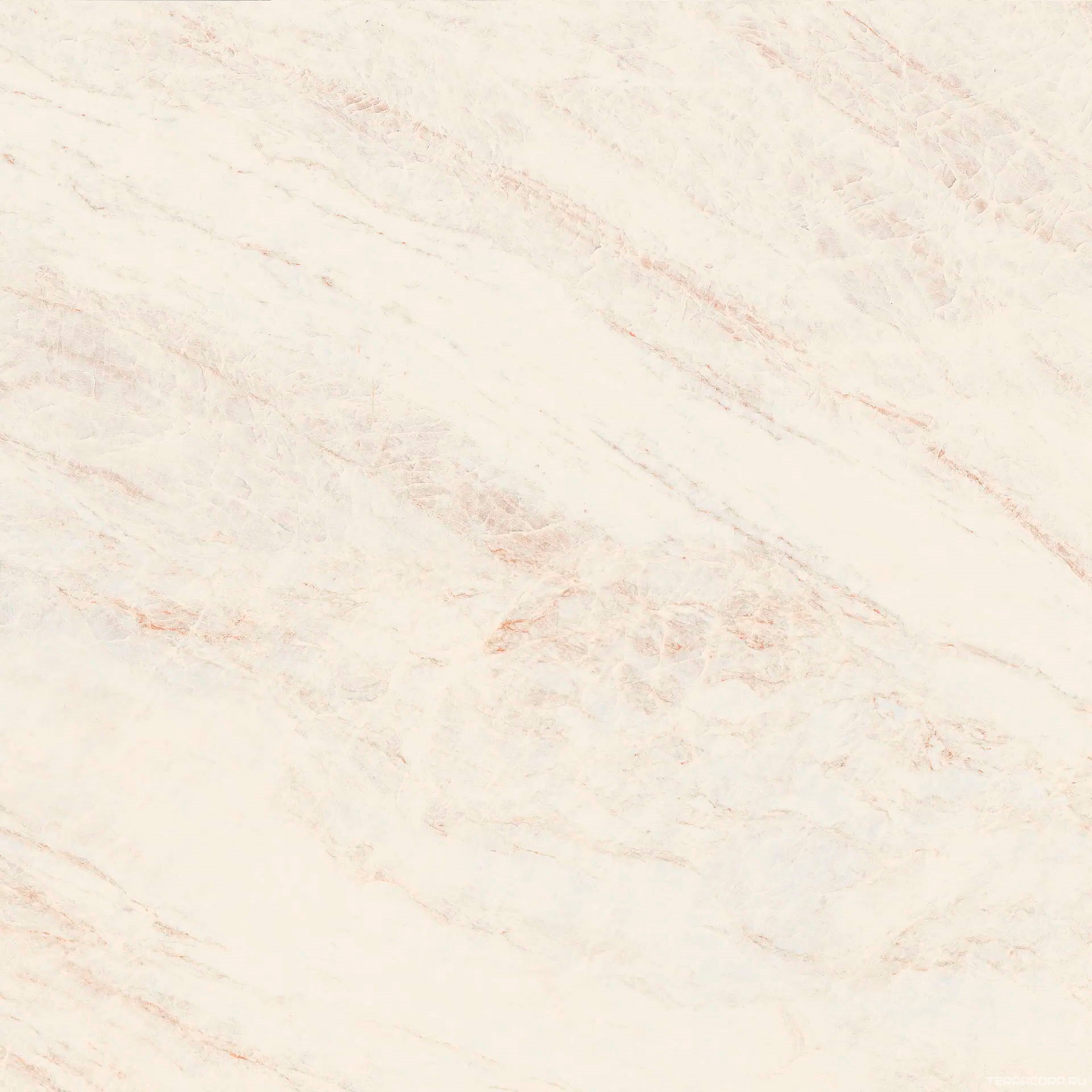 Керамогранит Isla Oyster White 120x120 Белый, фото 3