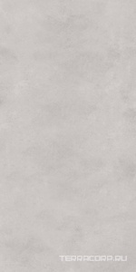 Керамогранит Zerde Sillent  light grey 60x120 Серый 