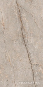 Керамогранит Leopard Monaco  Grey carving 60x120 Серый 