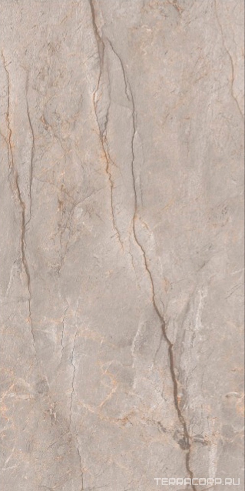 Керамогранит Leopard Monaco Grey carving 60x120 Серый, фото 4