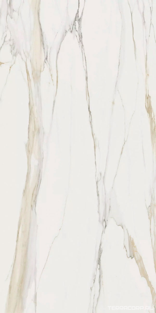 Керамогранит Florim Stone Marble Calacatta Gold A Mat. Stu 12 mm 160x320 Белый, фото 3