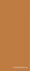 Керамогранит Janye Slab Solid Color Sunchine Orange matt  120x280 Оранжевый 