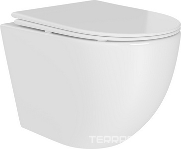 Унитаз подвесной 480х360мм, безободковый, смыв Tornado, сиденье с микролифтом, крепёж в компл., (цв.белый глянец),  Daily Aqueduto Ovo OVOTD2210