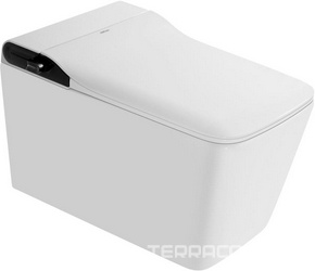 Унитаз-биде подвесной 60х36см, электронный, сиденье, инсталляция в компл., Rechteck ZZ