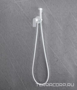 Смеситель совмещ. с гигиенич. душем, готовый к-т: лейка, шланг, скрытая часть, (цв.белый матовый),  ZZ Abber Weiss Insel AF8025W