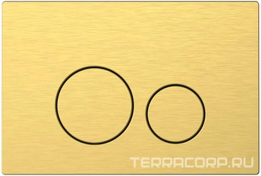 Кнопка двойного смыва, пневм., для инсталляции д/унитаза, (цв.золото браш.), Priority 4.0 ZZ